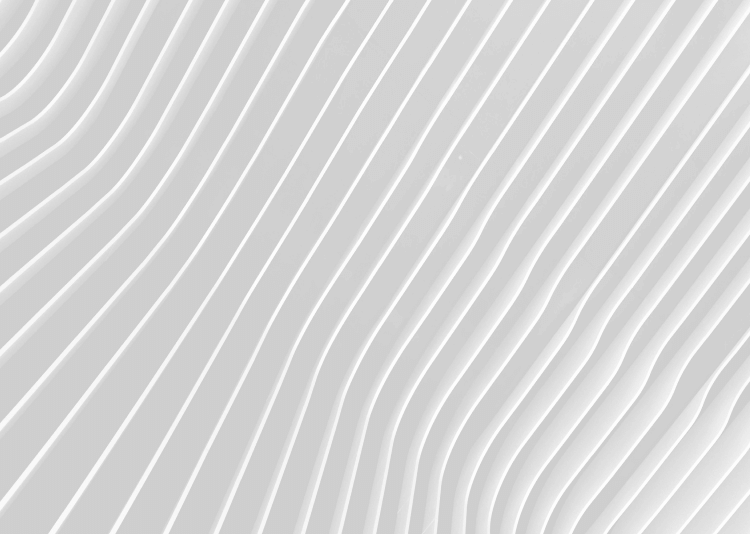 wavy silver and white line graphic